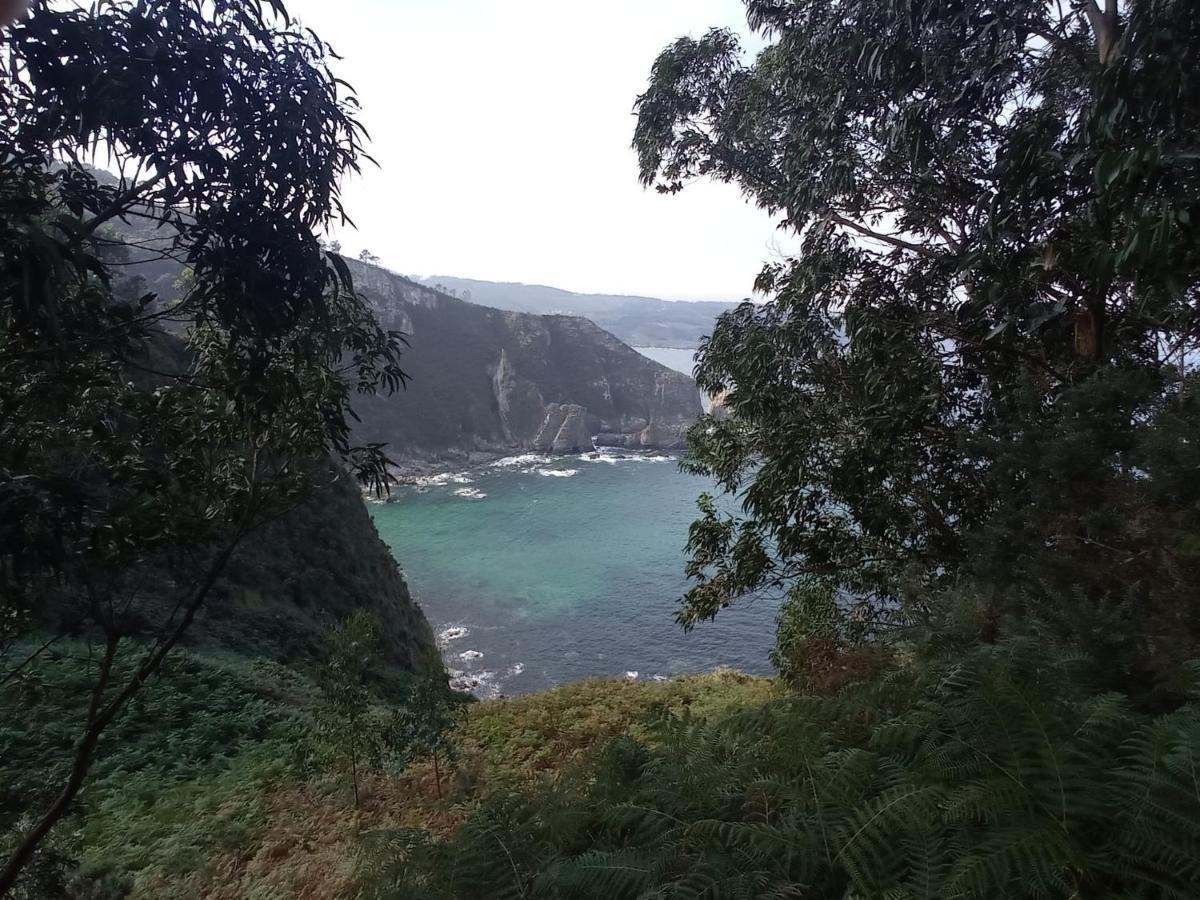 Duerming Sea View Viveiroアパートメント エクステリア 写真